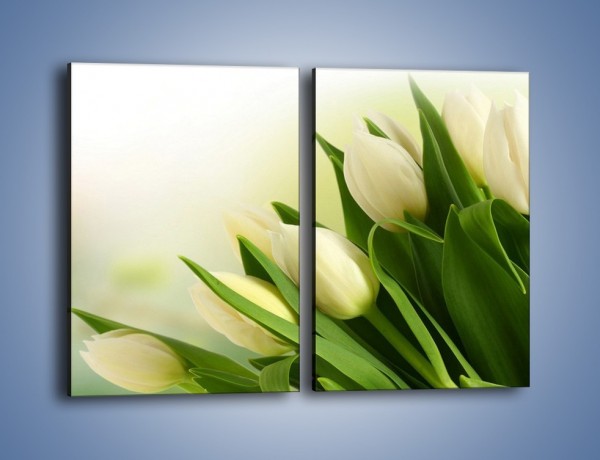 Obraz na płótnie – Białe tulipany na zgodę – dwuczęściowy prostokątny pionowy K400