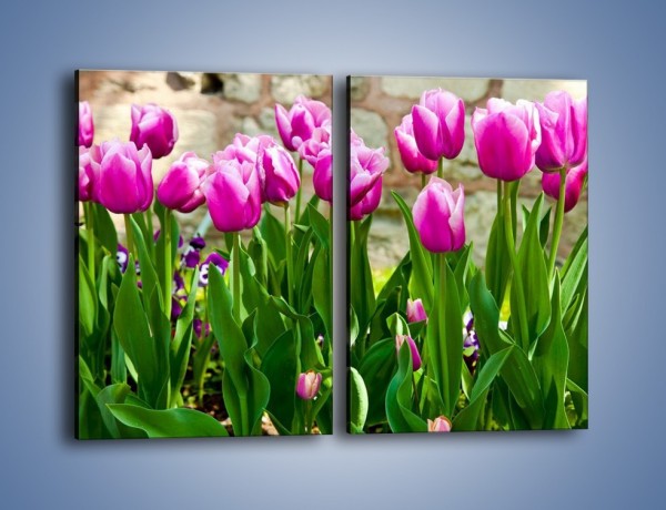 Obraz na płótnie – Tulipany w domowym ogródku – dwuczęściowy prostokątny pionowy K409