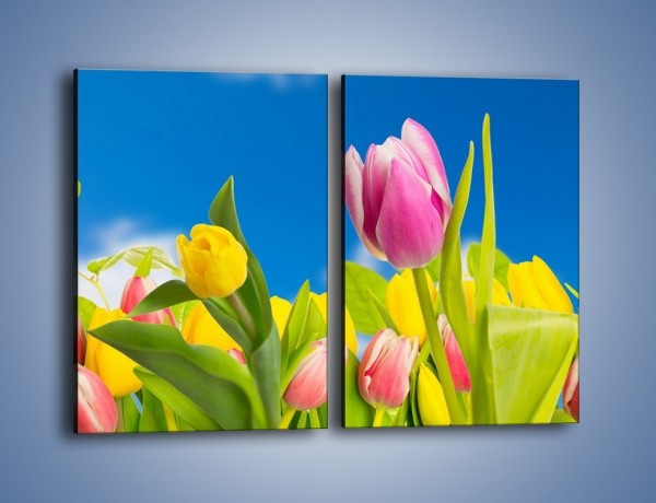 Obraz na płótnie – Kolorowe tulipany w bajkowej oprawie – dwuczęściowy prostokątny pionowy K431