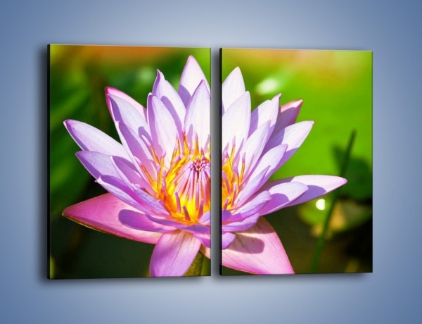 Obraz na płótnie – Wesoły kwiat w słońcu – dwuczęściowy prostokątny pionowy K455
