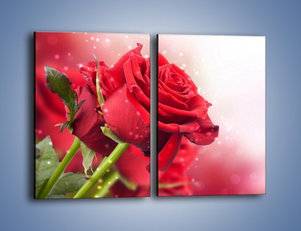 Obraz na płótnie – Róża nie całkiem mokra – dwuczęściowy prostokątny pionowy K500