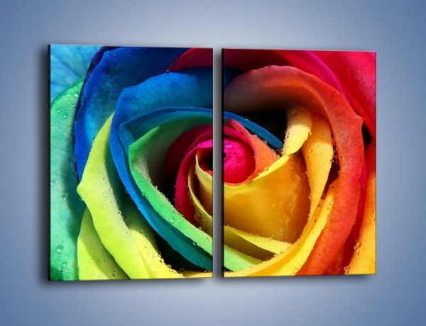 Obraz na płótnie – Kolory tęczy w róży – dwuczęściowy prostokątny pionowy K503