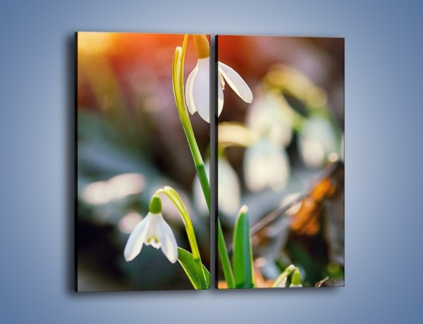 Obraz na płótnie – Mały kwiatek w słońcu – dwuczęściowy prostokątny pionowy K518