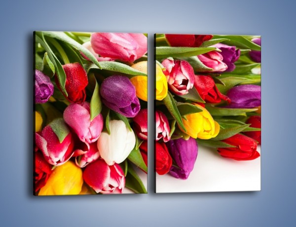Obraz na płótnie – Spokój i luz zachowany w tulipanach – dwuczęściowy prostokątny pionowy K538