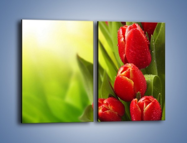 Obraz na płótnie – Liście tulipanów – dwuczęściowy prostokątny pionowy K546
