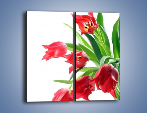Obraz na płótnie – Dawno temu z tulipanem – dwuczęściowy prostokątny pionowy K547