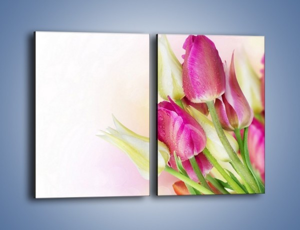 Obraz na płótnie – Kolorowa moc tulipanowa – dwuczęściowy prostokątny pionowy K549