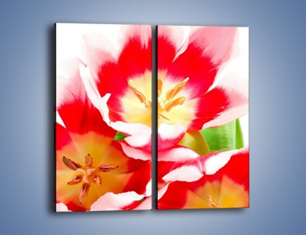 Obraz na płótnie – Kwiatki z bajki – dwuczęściowy prostokątny pionowy K550