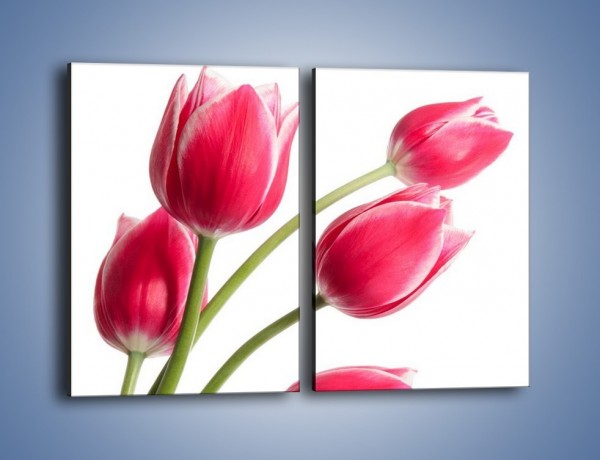 Obraz na płótnie – Pięć razy tulipany – dwuczęściowy prostokątny pionowy K551
