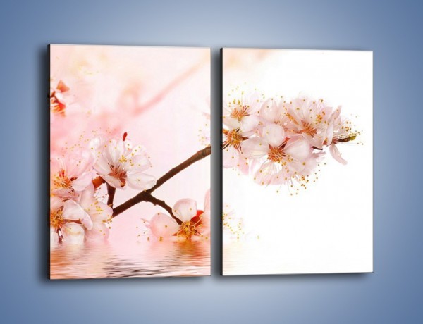 Obraz na płótnie – Blask kwiatów jabłoni – dwuczęściowy prostokątny pionowy K569