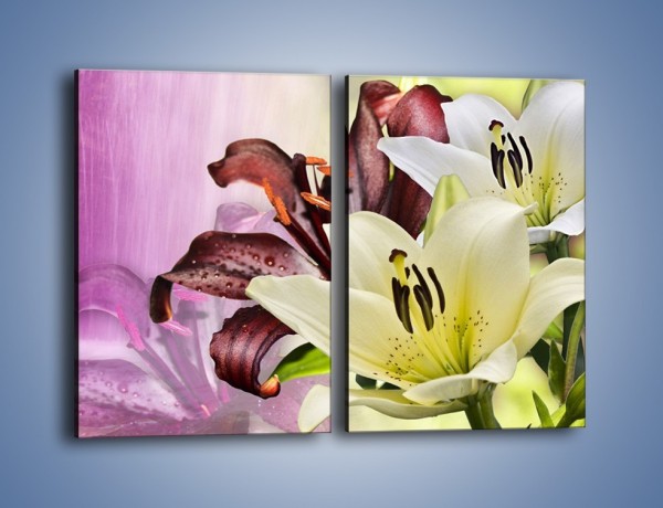 Obraz na płótnie – Podwójna twarz lilii – dwuczęściowy prostokątny pionowy K584