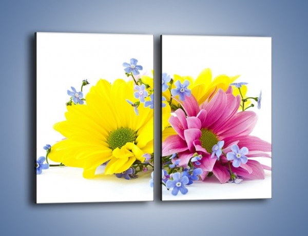Obraz na płótnie – Niezapominajki wśród kwiatów – dwuczęściowy prostokątny pionowy K604