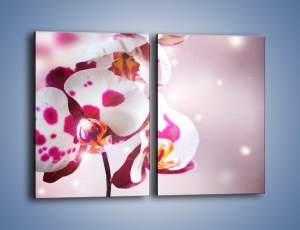Obraz na płótnie – Storczyk w różowych plamkach – dwuczęściowy prostokątny pionowy K607