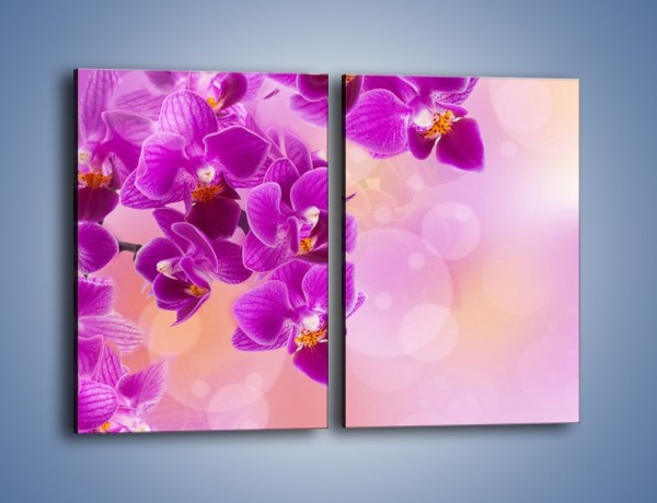 Obraz na płótnie – Spadające fioletowe kwiaty – dwuczęściowy prostokątny pionowy K614