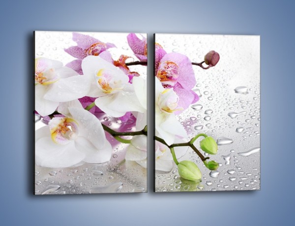 Obraz na płótnie – Kwiaty na mokrej szybie – dwuczęściowy prostokątny pionowy K617