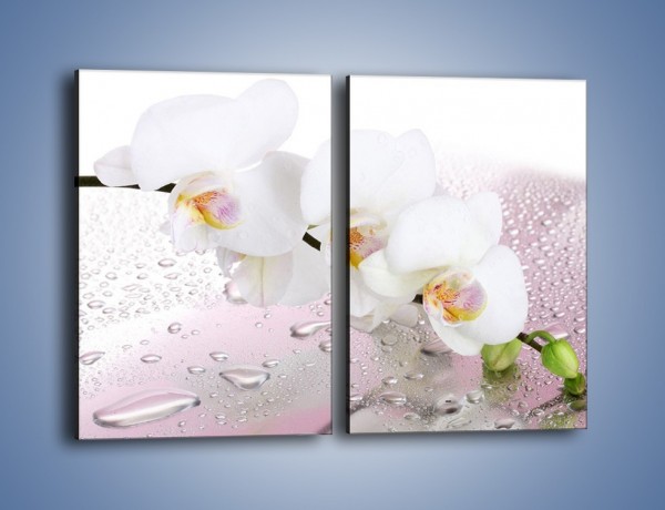 Obraz na płótnie – Czysta biel kwiata po deszczu – dwuczęściowy prostokątny pionowy K618