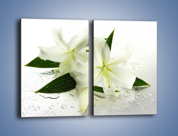 Obraz na płótnie – Niewinność białej lilii – dwuczęściowy prostokątny pionowy K632
