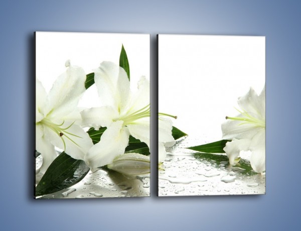 Obraz na płótnie – Czysta biel kwiatów – dwuczęściowy prostokątny pionowy K633