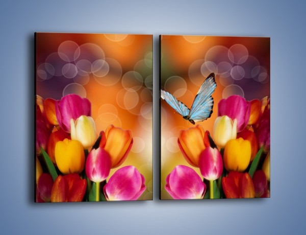 Obraz na płótnie – Motyl wśród tulipanów – dwuczęściowy prostokątny pionowy K635