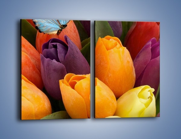 Obraz na płótnie – Tulipany patrzące na motyla – dwuczęściowy prostokątny pionowy K636