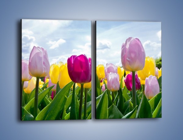 Obraz na płótnie – Kwiaty na tle chmur – dwuczęściowy prostokątny pionowy K638