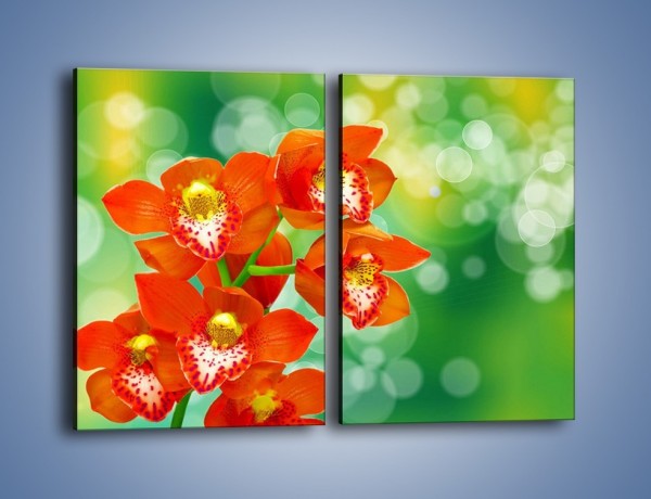 Obraz na płótnie – Kwiatek jak pomarańcza – dwuczęściowy prostokątny pionowy K642