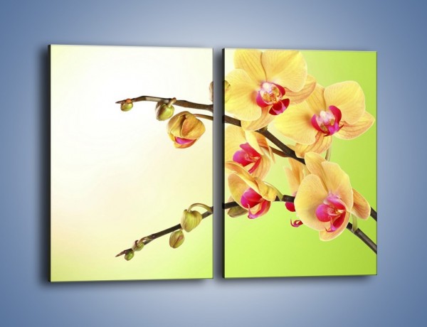 Obraz na płótnie – Kwiat na limonkowym tle – dwuczęściowy prostokątny pionowy K650
