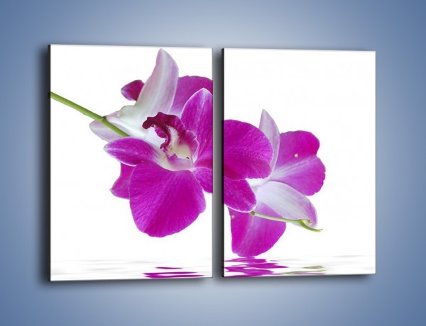 Obraz na płótnie – Rozwinięty kwiat w wodnym odbiciu – dwuczęściowy prostokątny pionowy K673