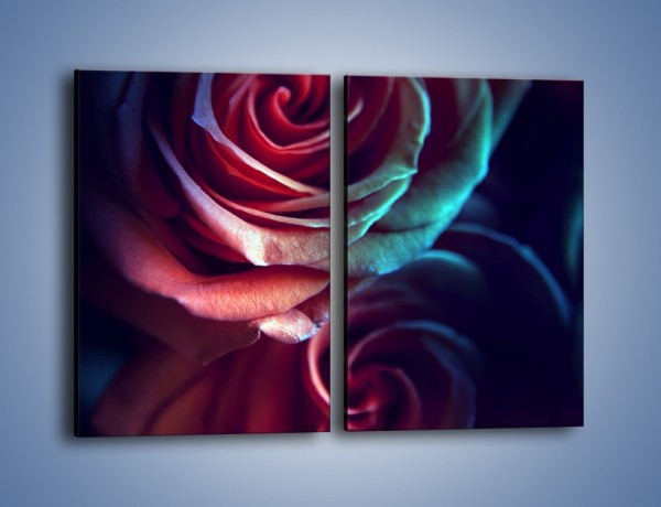 Obraz na płótnie – Ciemność różanych główek – dwuczęściowy prostokątny pionowy K679