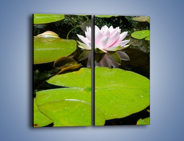 Obraz na płótnie – Staw z wodnymi roślinami – dwuczęściowy prostokątny pionowy K680