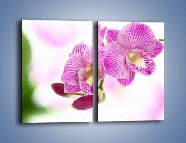 Obraz na płótnie – Kwiat pełen pasji – dwuczęściowy prostokątny pionowy K689