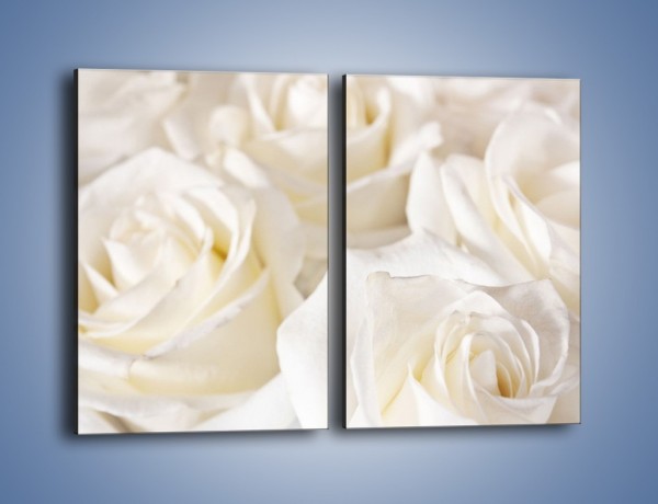 Obraz na płótnie – Dywan z białych róż – dwuczęściowy prostokątny pionowy K711