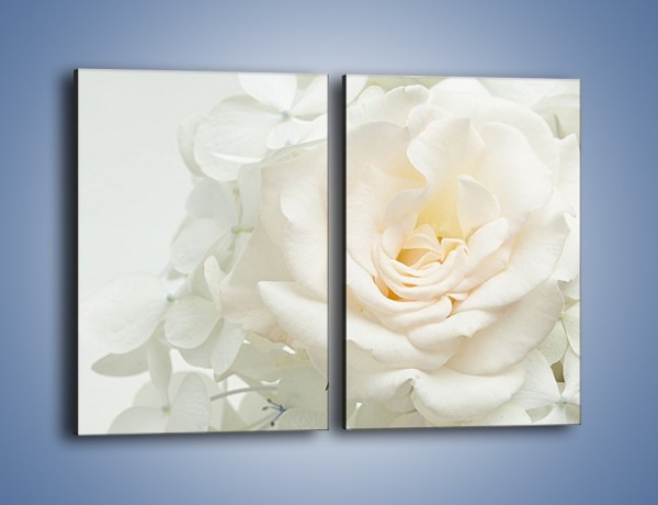 Obraz na płótnie – Czysta biel kwiatów – dwuczęściowy prostokątny pionowy K712