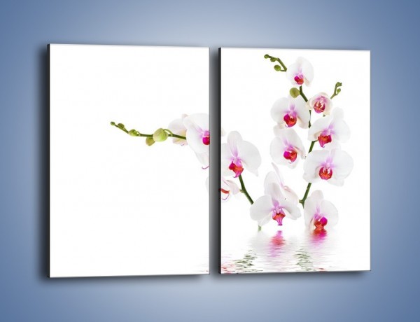 Obraz na płótnie – Zanurzone płatki wiśni – dwuczęściowy prostokątny pionowy K721