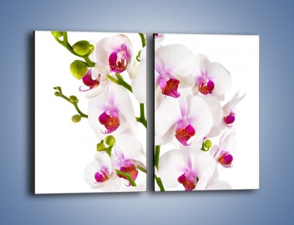 Obraz na płótnie – Przede wszystkie kwiaty – dwuczęściowy prostokątny pionowy K725