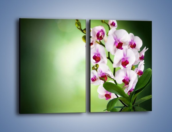 Obraz na płótnie – Kwiaty o zmierzchu – dwuczęściowy prostokątny pionowy K726