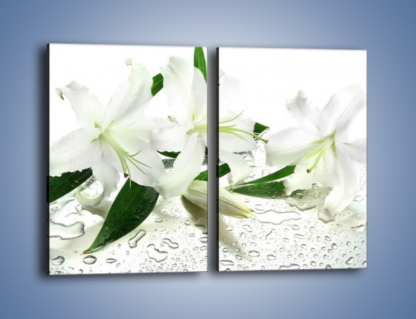Obraz na płótnie – Życie lilii po deszczu – dwuczęściowy prostokątny pionowy K729