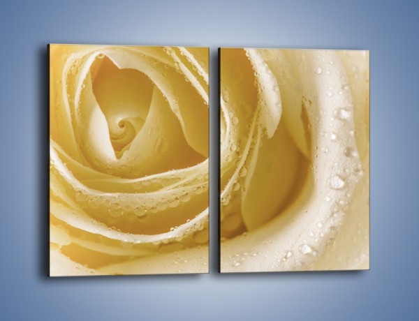 Obraz na płótnie – Róża niczym beza – dwuczęściowy prostokątny pionowy K737
