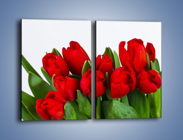 Obraz na płótnie – Tulipany na dzień kobiet – dwuczęściowy prostokątny pionowy K740