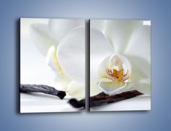 Obraz na płótnie – Laski wanilii i kwiat – dwuczęściowy prostokątny pionowy K750