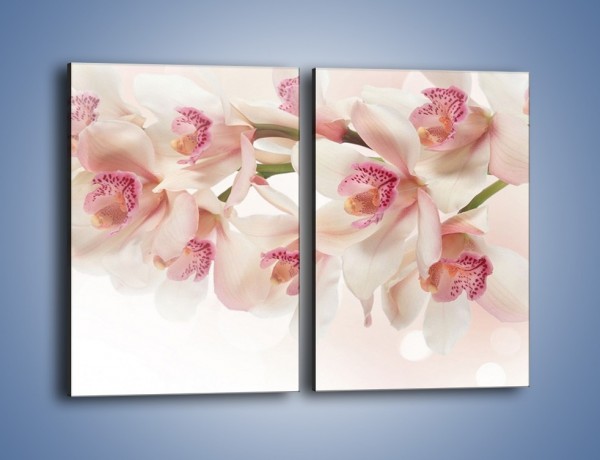 Obraz na płótnie – Szlachetne różowe storczyki – dwuczęściowy prostokątny pionowy K756