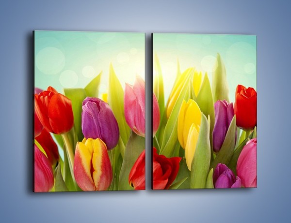 Obraz na płótnie – Tulipany w pierwszym rzędzie – dwuczęściowy prostokątny pionowy K760