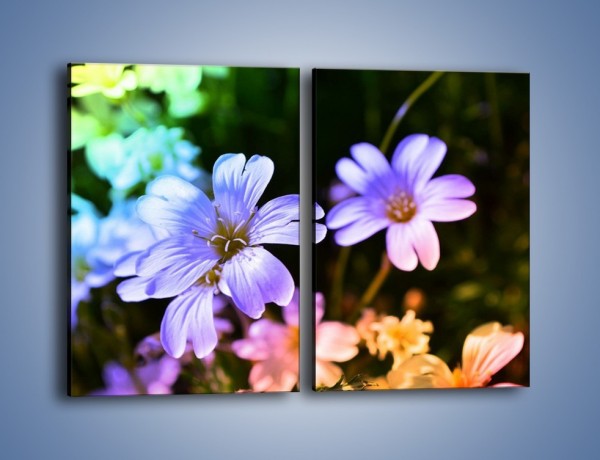 Obraz na płótnie – Niebieskie główki kwiatuszków – dwuczęściowy prostokątny pionowy K769