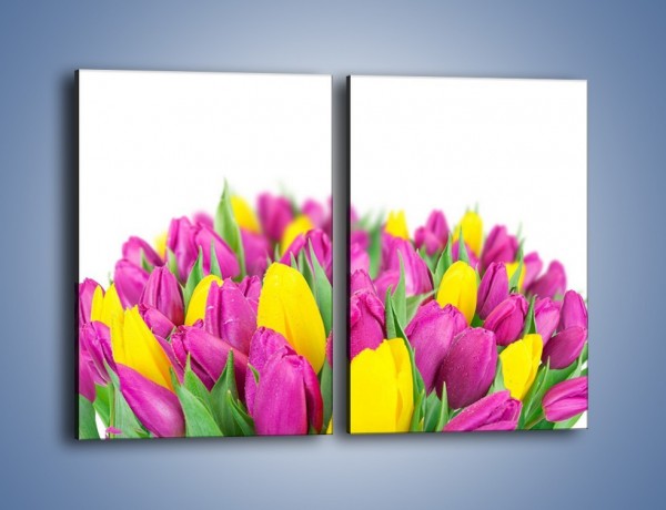 Obraz na płótnie – Bukiet fioletowo-żółtych tulipanów – dwuczęściowy prostokątny pionowy K778