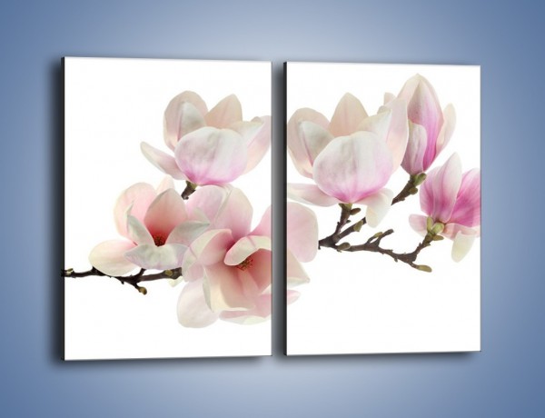 Obraz na płótnie – Zerwana gałązka magnolii – dwuczęściowy prostokątny pionowy K780