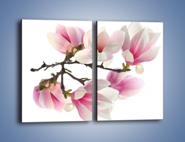 Obraz na płótnie – Wirujące kwiaty magnolii – dwuczęściowy prostokątny pionowy K781