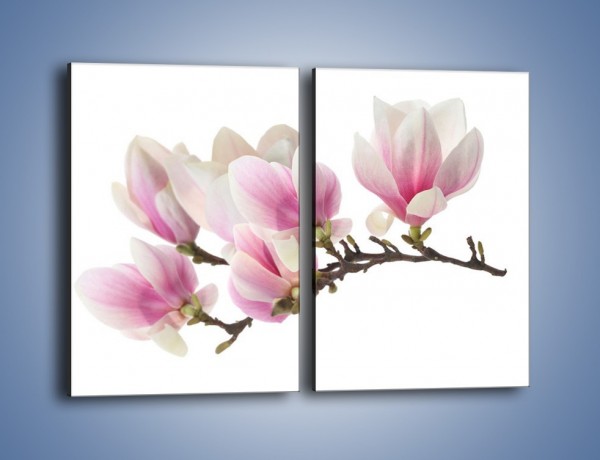 Obraz na płótnie – Rzut na gałąź magnolii – dwuczęściowy prostokątny pionowy K782
