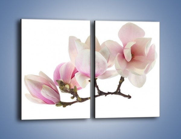 Obraz na płótnie – Obcięte gałązki białych różowych kwiatów – dwuczęściowy prostokątny pionowy K783