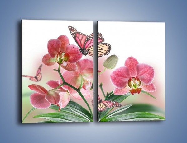 Obraz na płótnie – Różowy motyl czy kwiat – dwuczęściowy prostokątny pionowy K786