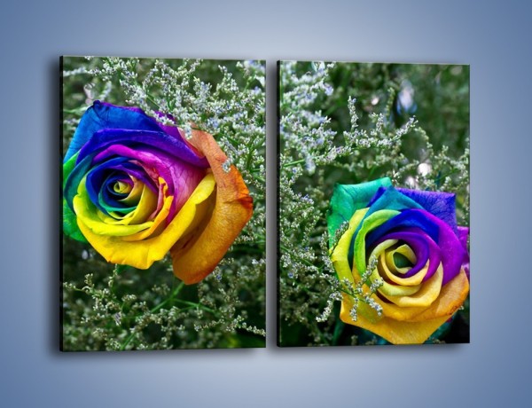Obraz na płótnie – Kolorowe różane główki – dwuczęściowy prostokątny pionowy K800